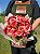 Begônia Especial Rosa - Imagem 1