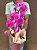 Orquídea Cascata Premium Embalada – Fúcsia - Imagem 2