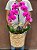 Arranjo de Orquídea Cascata Premium - Imagem 1