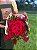 Cone Rouge - 12 Rosas Colombianas - Imagem 1