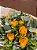 Mini Buquê Amarelo Momentum - Imagem 3