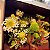 Malle de Fleurs Terracotta - Imagem 2