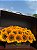 Malle de Fleurs Lumière | Girassóis Premium - Imagem 6