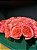 Malle de Fleurs Roseraie | Rosa Garden Premium - Imagem 3