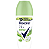 DESODORANTE ROLL ON BAMBOO & ALOE VERA 50ML REXONA - Imagem 1