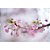 Lente Sigma 50mm f/1.2 DG DN ART para Sony E-Mount - Imagem 15