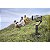 Estabilizador para Smartphone DJI Osmo Mobile 7P BR - DJI132 - Imagem 13