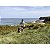 Estabilizador para Smartphone DJI Osmo Mobile 7P BR - DJI132 - Imagem 18