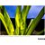 Lente Tamron 28-200mm f/2.8-5.6 Di III RXD para Sony E-Mount - Imagem 9