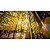 Lente Venus Optics Laowa 10mm f/2.8 Zero-D FF AF para Sony E-Mount - Imagem 19