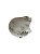 Carcaça Lateral Direito Right Cover Shell Dji Mini 3 Pro - Imagem 3
