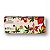 Planner Office Permanente Semanal 30x11,5 Frutos - Cicero - Imagem 1