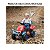 Quadriciclo Spider Ref. 3113 Maral - Imagem 6