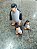 TERRÁRIO TRIO PINGUIM - Imagem 1