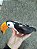 C. TUCANO PEQUENO PENDURAR - Imagem 1