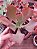 ECHEVERIA HIBRIDA SERROGRANDENSE POTE 11 - Imagem 1