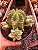 Euphorbia fruticosa var. inermis POTE 11 - Imagem 1