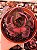 ECHEVERIA RAUBER pote 11 - Imagem 1