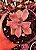 GRAP. MRS RICHARDS VARIEGATA POTE 11 - Imagem 1