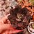 ECHEVERIA NODULOSA PAINTED BEAUTY POTE 11 - Imagem 1
