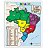 Jogo quebra-cabeças Mapa do Brasil 30 peças em madeira MDF Aquarela Brinquedos - Imagem 2