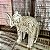 Elefante Madeira de Bali G - Imagem 4