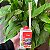 Difusor de Varetas 250ml - Melancia - Imagem 2