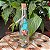 Duende na Garrafa - Imagem 1