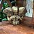 Ganesha - Imagem 4