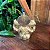Ganesha Pequeno - Imagem 4