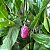 Colar de Pedra Ágata Rosa Rolada - Imagem 1
