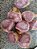 Mix de batatas criolas mudas - Imagem 3