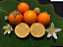 50 sementes de naranjilla lulo - Imagem 2