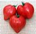 20 sementes de tomate coração de boi - Imagem 2