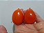 Sementes de Tomate biquinho - Imagem 2