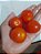 50 Sementes de Tomatinho cereja - Imagem 2