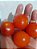 50 Sementes de Tomatinho cereja - Imagem 1