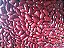 30 sementes de Feijão vermelho - Imagem 3