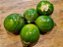 50 sementes de jiló verde - Imagem 2