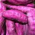 Mudas Batata doce para plantio - Imagem 1