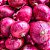 100 sementes de cebola roxa - Imagem 2