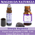 MAGIAS DA NATUREZA - Imagem 1