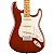 FENDER GUIT MEX MN TRANSPARENT MOCHA BURST - Imagem 4