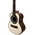 GIANNINI CAVACO ELET CS8 FISHMAN - Imagem 3