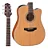 TAKAMINE VIOLAO GD20CE ACO FOSCO - Imagem 3