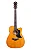 YAMAHA VIOLÃO A5M ARE VN - Imagem 1