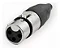 SANTO ANGELO PLUG SA2X XLR FEMEA LINHA - Imagem 2
