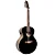 TAGIMA VIOLAO 12C FS-600 XII BK FISHMAN - Imagem 1