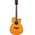 YAMAHA VIOLAO FSC TA NT - Imagem 1