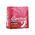 Absorvente Carefree Proteção Sem Perfume com 40 Unidades - Imagem 1